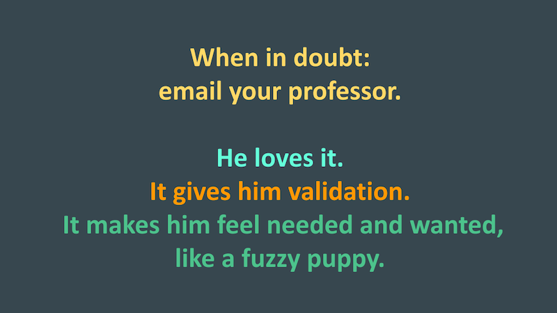 When in doubt: Email your professor. He loves it. It gives him validation. It makes him feel needed and wanted, like a fuzzy puppy.